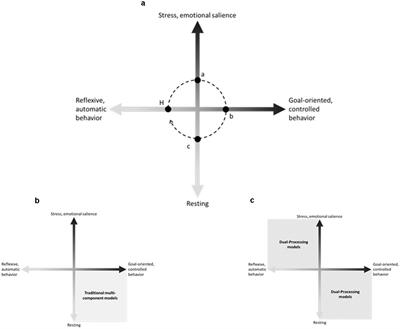 Balancing Automatic-Controlled Behaviors and Emotional-Salience States: A Dynamic Executive Functioning Hypothesis